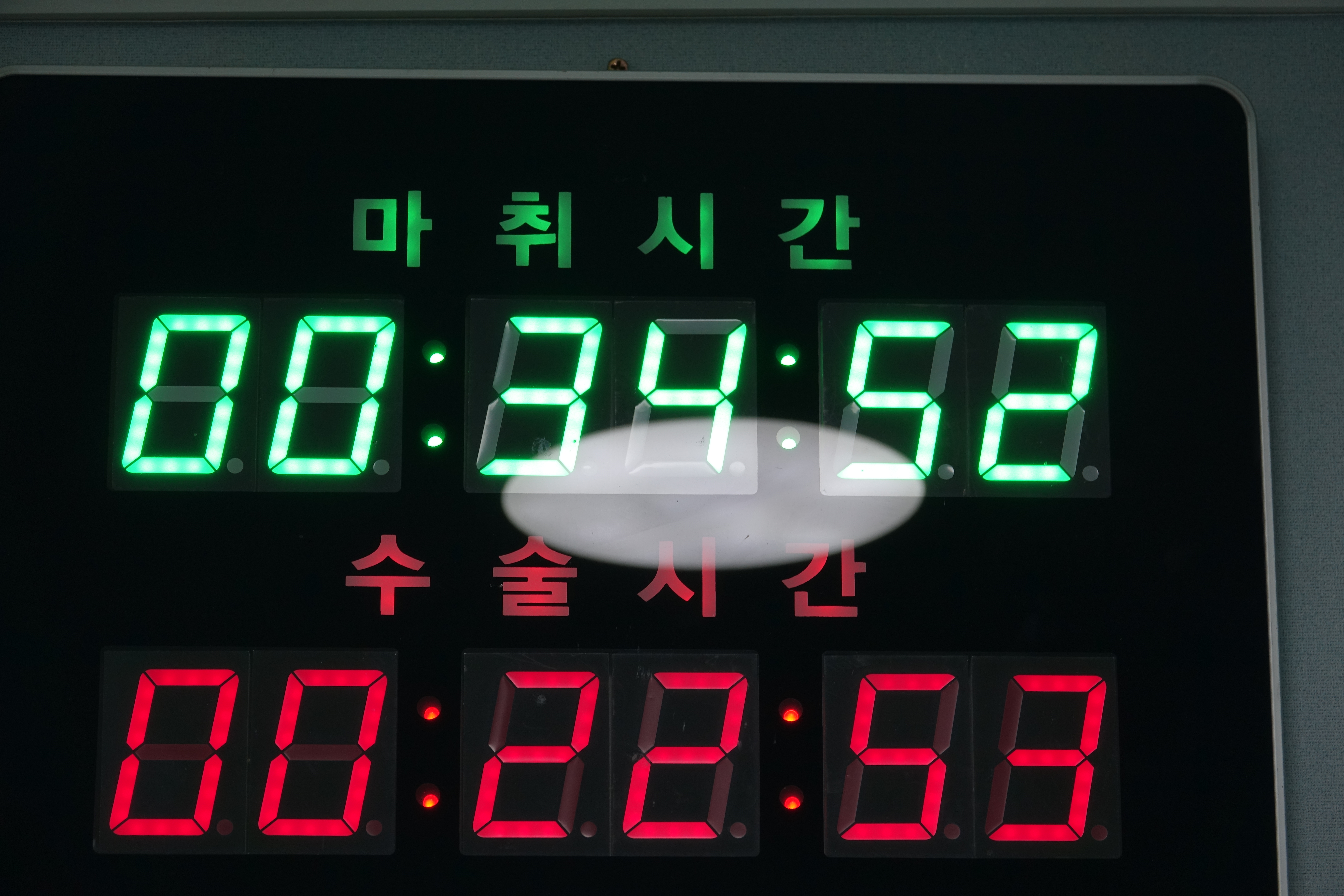 12살 말티즈 마리가 혈뇨를 보인 이유와 그 해결 과정