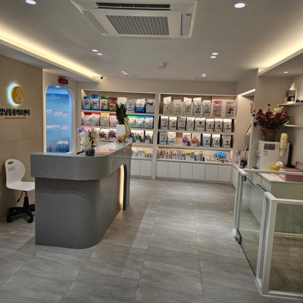 슬개골 탈구 수술로 회복한 치와와 초코의 사례